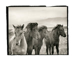 8″x10″ Platinum & Palladium Printing Workshop with Mohan Bhasker July 16 & 17, 2025