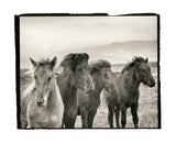 8″x10″ Platinum & Palladium Printing Workshop with Mohan Bhasker July 16 & 17, 2025