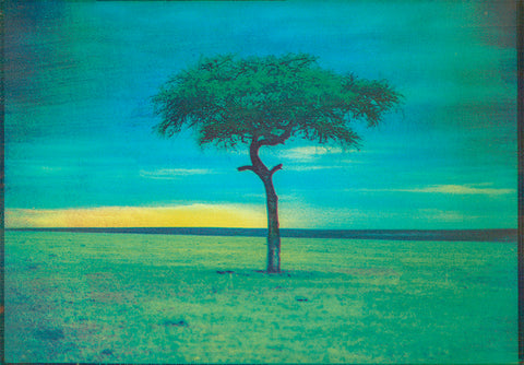 Masai Mara National Park at Sunset, Kenya