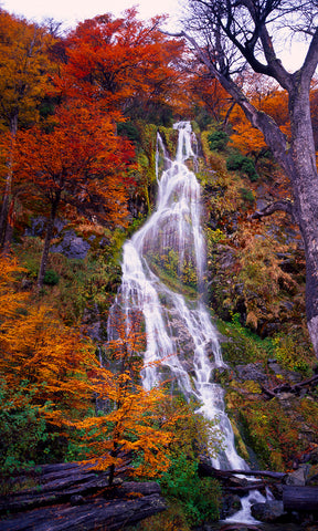 Autumn Colors Waterfall, El Chalten National Park, Argentina, South America