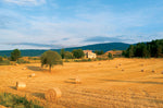 Countryside at Sunrise, South of France, Europe