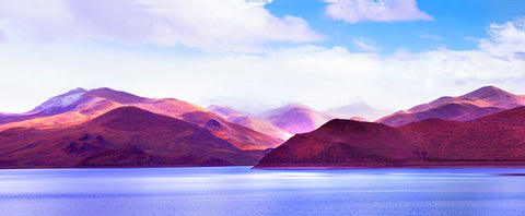 Dreamlike Vision in the Autumn, Yangdrok Lake, Tibet, Asia