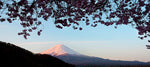 Mt. Fuji at Sunrise, Japan, Asia