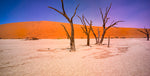 Deadvlie at Sunrise, Namibia, Africa