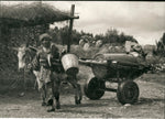 Village Life, Morocco