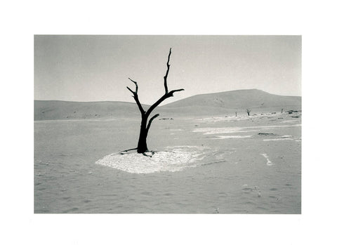 Deadvlie Clay Pan, Sand Dunes, Namibia, Africa